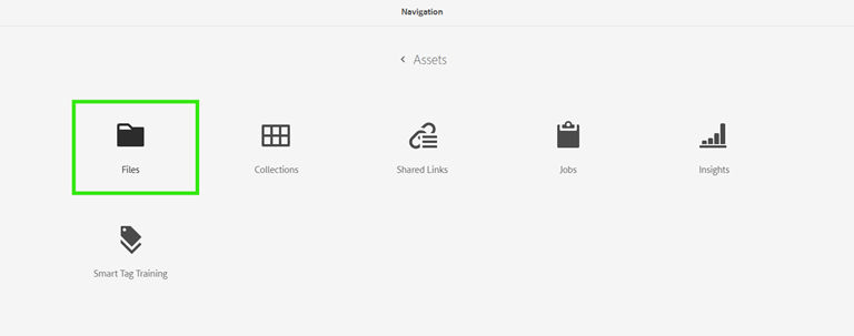 AEM navigation screen under Assets section, with Files highlighted.